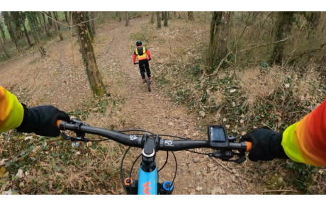 Rush Vidéo de la sortie du Jour : Reco Bois Sathonay